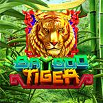 Bamboo Tiger Bamboo Tiger
